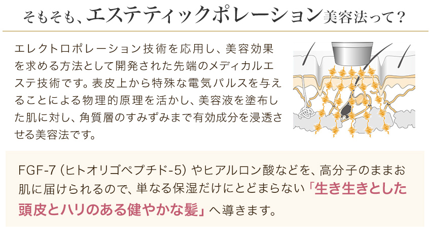 3ヵ月コース】 イーポレーション・スカルプミニ【FGF-7配合 バイオ